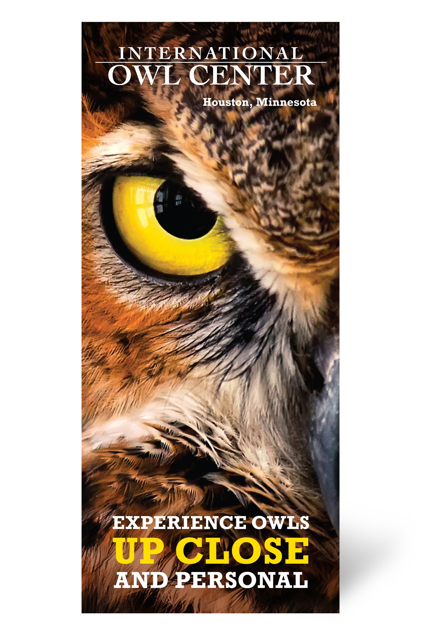 Color brochure for the International Owl Center with logo, closeup of resident owl face and experience owls up close headline