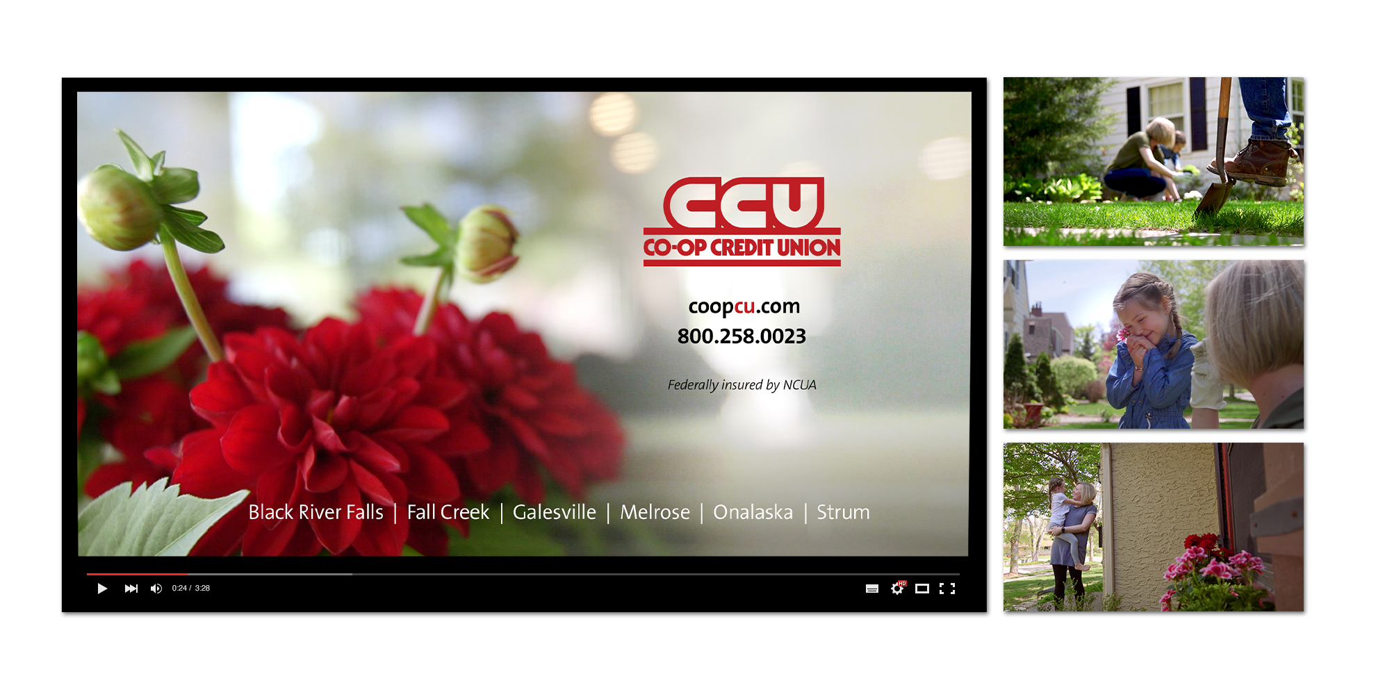 Four still images from Co-op Credit Union TV ad showing red flowers, family planting flowers and family enjoying flowers