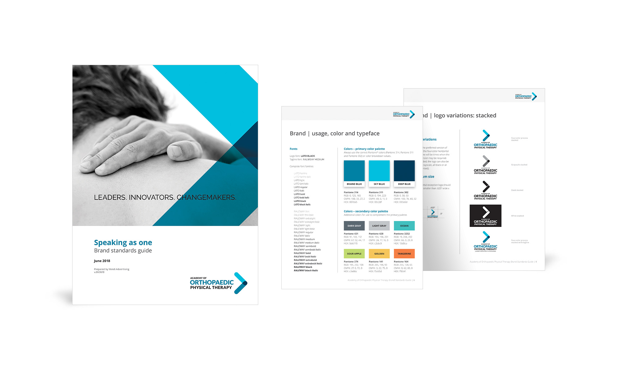 Pages from the Academy of Orthopaedic Physical Therapy Speaking as one brand standards guide created by Vendi Advertising