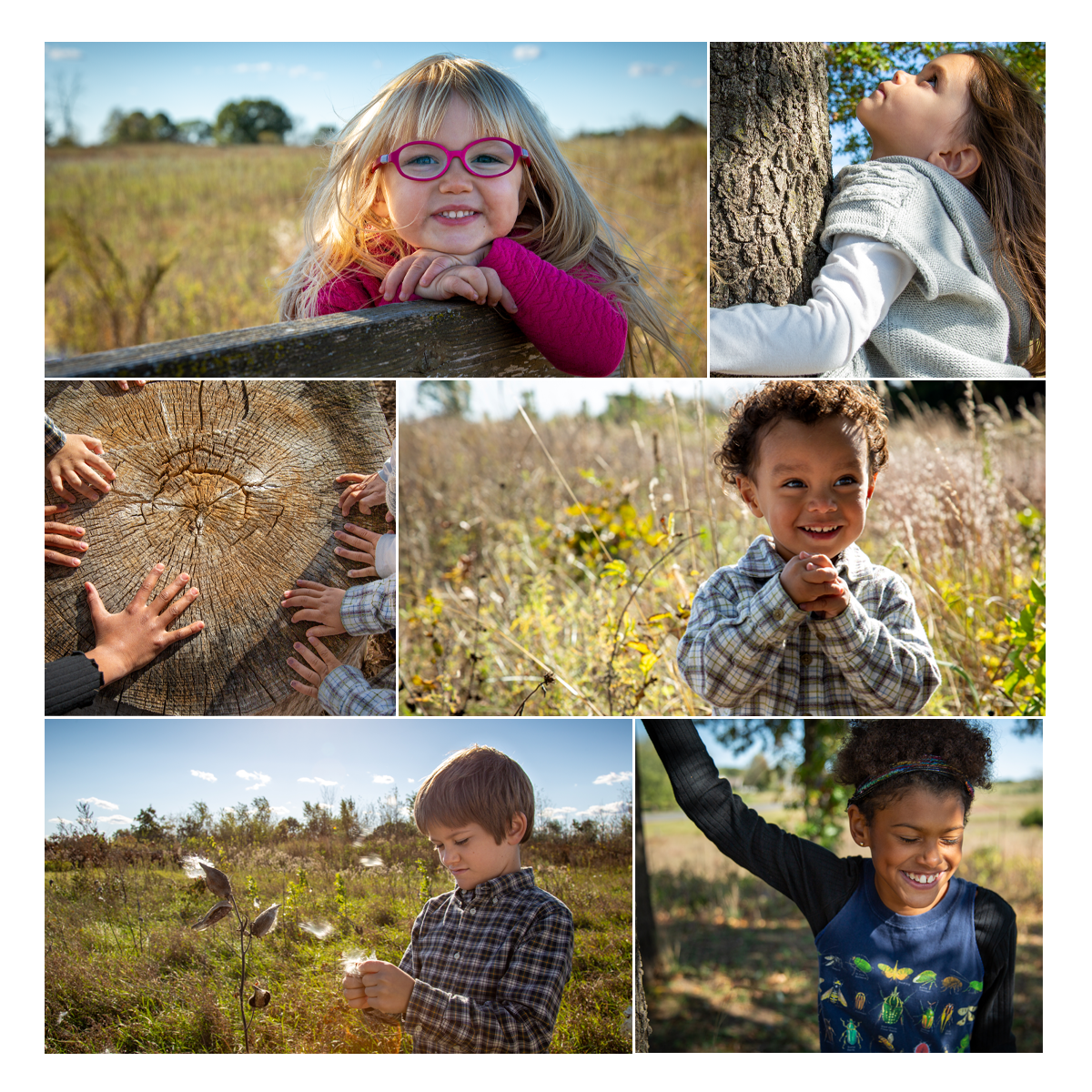 Collage of Mississippi Valley Conservancy color photography 