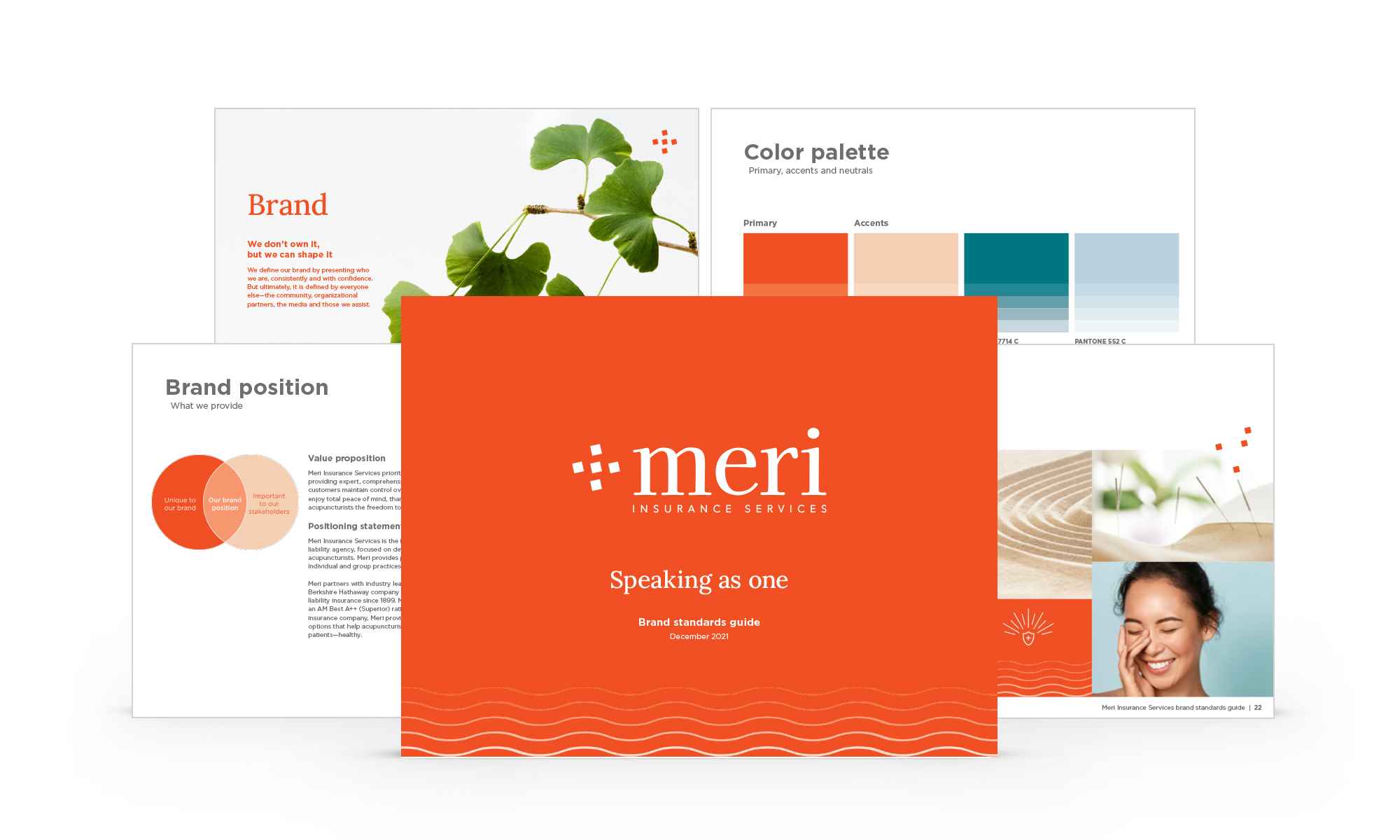Meri Insurance brand standards guide