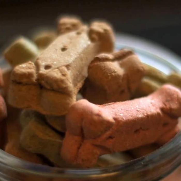 Closeup image of multi-colored bone-shaped dog biscuits in a jar. Still image from Altra video.