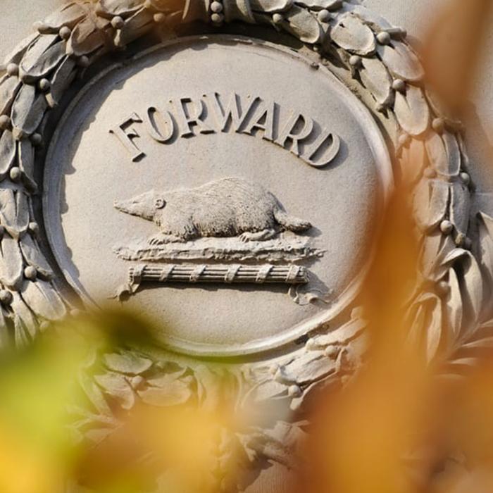 Cement seal with Wisconsin’s Forward motto, a badger and laurel-style wreath on a UW–Madison School of Pharmacy building