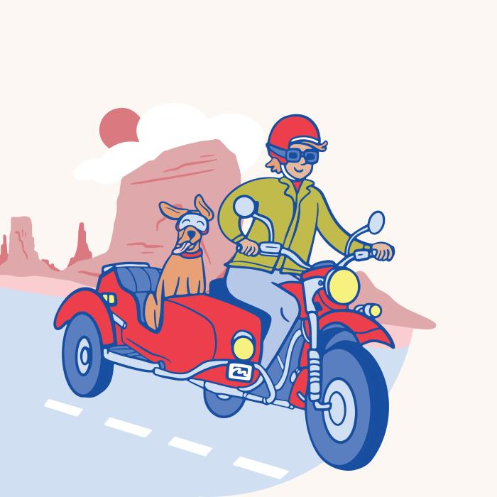 Marine Credit Union summer recreation campaign original illustration showing girl riding a motorcycle with her dog in the sidecar